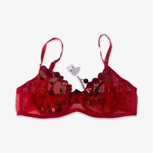 Cerise Cherry Underwire Bra | For Love & Lemons Victoria’s Secret NWT